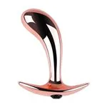 ft-570347-anal-plug-ergo-rose-metal-small-abac95ded78948b09a8e0ce44887fbd7.webp