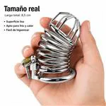 ft-570617-chastity-helix-shield-metal-medium-54963b413d384a568238cadab22ef4db.webp