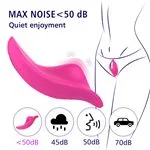 ft-752297-wearable-panty-vibrator-app-francesca-0c2b0a6dab5c410ea3154fcec13e22ff.webp