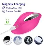 ft-752297-wearable-panty-vibrator-app-francesca-7cd3edc28e45482d8e516794fe994967.webp