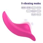 ft-752297-wearable-panty-vibrator-app-francesca-c76abab0265641abb147d8f2b1ccc856.webp