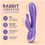 ft-771619-rabbit-vibrator-lavendre-7bbe7935a41044d1a82d81c5c3bae8cd.webp