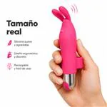ft-771697-vibrator-bunisson-3116a478cf234afe9eb6dd13256dc305.webp