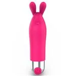 ft-771697-vibrator-bunisson-3cd10191ba52460bb56944732ec9d6a7.webp