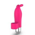ft-771697-vibrator-bunisson-7707b2578bee4f37ac2df15123ad7bed.webp