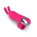 ft-771697-vibrator-bunisson-77410a23d5f142ae9925cade1c0dec30.webp