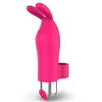 ft-771697-vibrator-bunisson-d91cda342ba7403bae2d6c0f18e06da5.webp