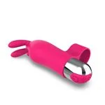 ft-771697-vibrator-bunisson-df3ddf92e7d04c7295e34b26fd96e158.webp