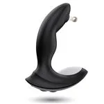 ft-880196-prostate-vibrator-ecstasy-pulse-e4dc426cfa3d4eed92ef3c63eb95fe91.webp