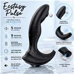 ft-880196-prostate-vibrator-ecstasy-pulse-ea418bc7362142d78b6663368a0c5475.webp