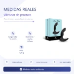 ft-880196-prostate-vibrator-ecstasy-pulse-placa-medidas-1768a27a49e0497092fcd7d77e0126db.webp