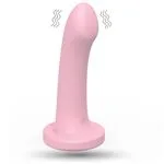 ft-880231-vibrator-pleasure-peak-e50569582711484590a4feacdecb250d.webp