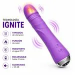 ft-880245-vibrator-ignite-5ddb2c02a70b49e49e35cf2daaeb0904.webp