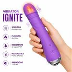 ft-880245-vibrator-ignite-b5e60a130e544b099bd4e7f096a35a4c.webp