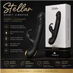 ft-880301-rabbit-vibrator-stellar-572f526d4b9e4dbd9643de125d088e48.webp