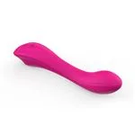 ft-975497-vibrator-ergomuv-48c24a16077140dab418aa99b1437705.webp