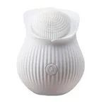 shd-d2810-vibrador-white-rose-estimulador-clitoris-usb-recargable-funciones-6cmx7cm-06567e2c83264.webp