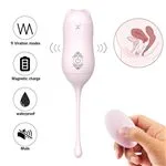 shd-s080-miaou-vibrador-inalambrico-multifuncional-recargable-usb-bfe0fa65c9864548b74e374c7af30c35.webp