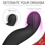 shd-s129-jiggle-vibrador-anal-multifuncional-recargable-usb-caa3b9be70ad47afa5cc3fc2ec9bbe48.webp