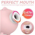 shd-s186-piggy-succionador-vibrador-multifuncional-recargable-usb-fa846feae38a4105b55ed13bc3802176.webp