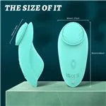 shd-s410-2-vibrador-leaf-tanga-9-funciones-recargable-fac4c05a2d8d483a93497806bcf79708.webp