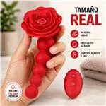 sw2025-plug-anal-vibrante-y-giratorio-rosaline-secwell-con-c-ef50a7f62ce04575988e4adc1c8b53ad.webp